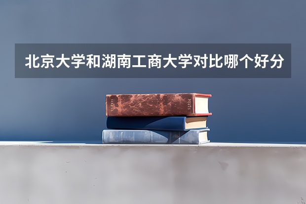 北京大学和湖南工商大学对比哪个好分析