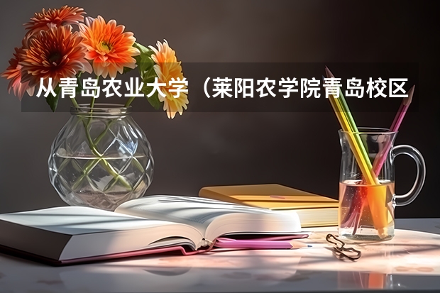 从青岛农业大学(莱阳农学院青岛校区)到李村怎么走?