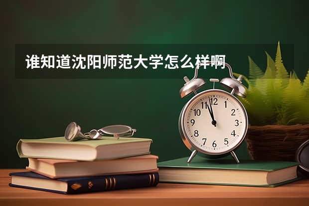 谁知道沈阳师范大学怎么样啊