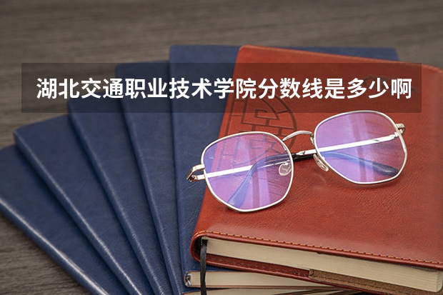 湖北交通职业技术学院分数线是多少啊？
