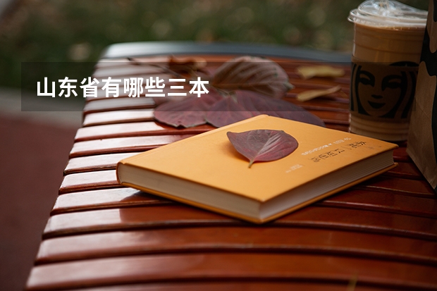 山东省有哪些三本