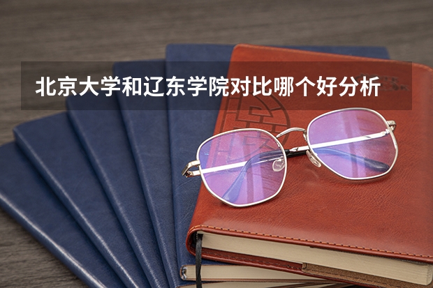 北京大学和辽东学院对比哪个好分析
