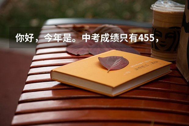 你好,今年是。中考成绩只有455,满分620。我是湖南益阳的。我想知道能上什么学校,谢