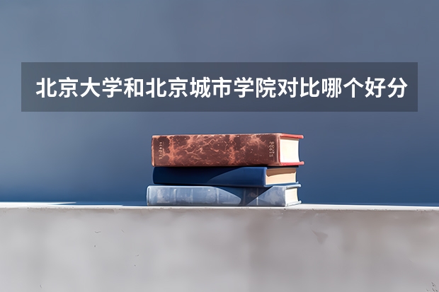 北京大学和北京城市学院对比哪个好分析