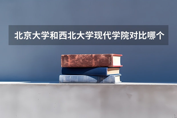 北京大学和西北大学现代学院对比哪个好分析