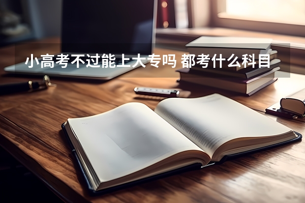 小高考不过能上大专吗 都考什么科目