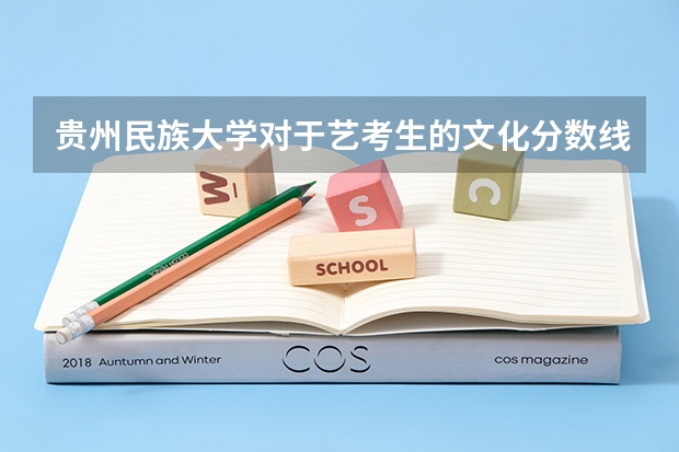 贵州民族大学对于艺考生的文化分数线是多少?