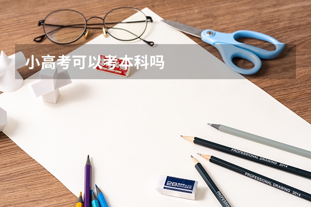 小高考可以考本科吗