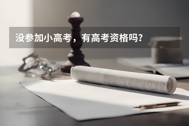 没参加小高考,有高考资格吗?