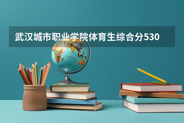 武汉城市职业学院体育生综合分530多分可以上吗?