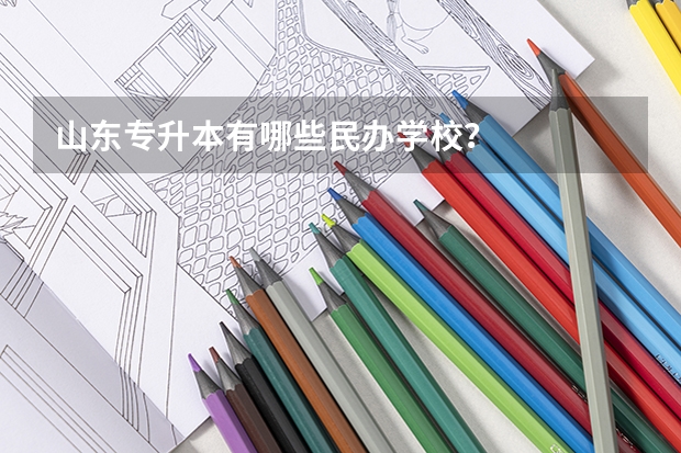 山东专升本有哪些民办学校?