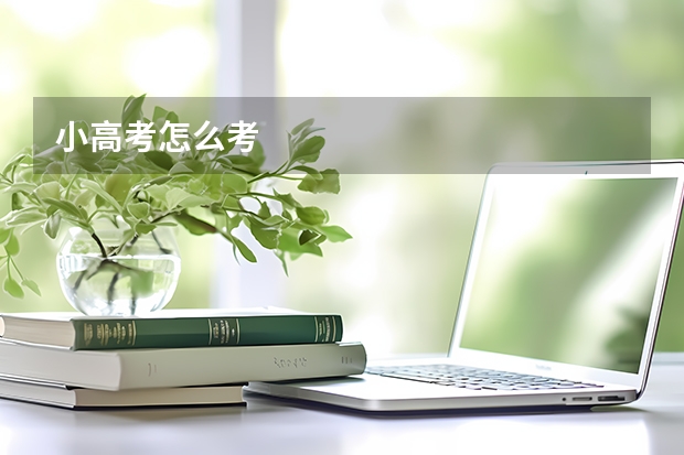 小高考怎么考