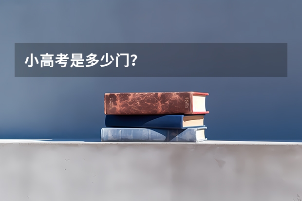 小高考是多少门？