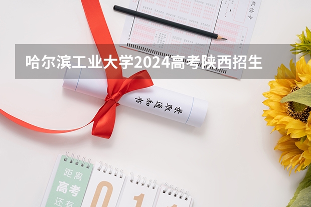 哈尔滨工业大学2024高考陕西招生计划