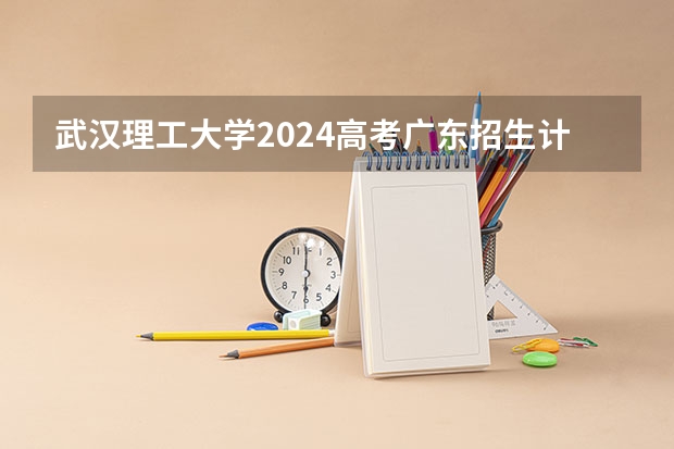 武汉理工大学2024高考广东招生计划