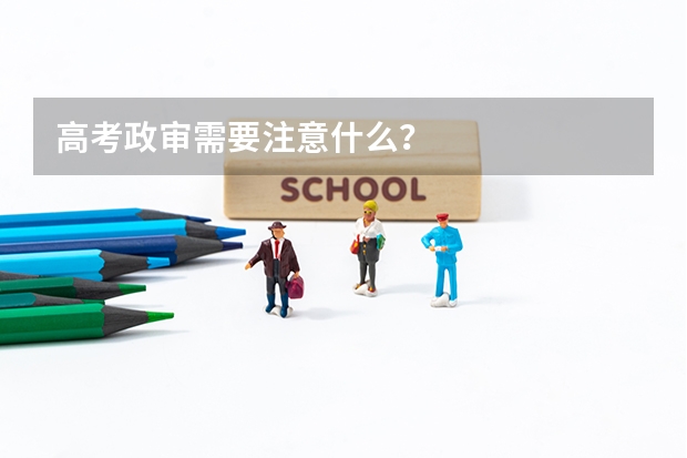 高考政审需要注意什么？