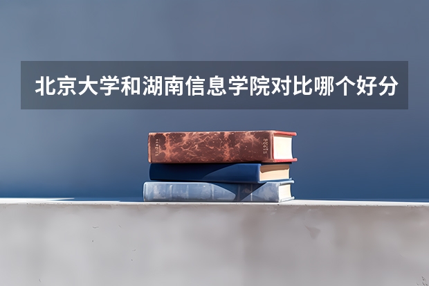 北京大学和湖南信息学院对比哪个好分析