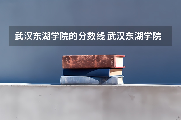 武汉东湖学院的分数线 武汉东湖学院法学专业分数线