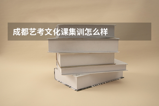 成都艺考文化课集训怎么样