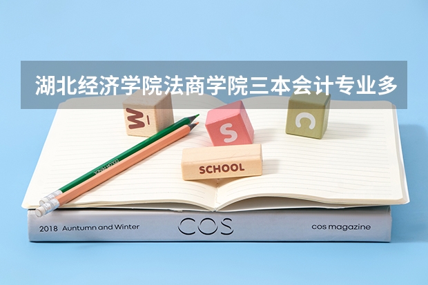 湖北经济学院法商学院三本会计专业多少分？