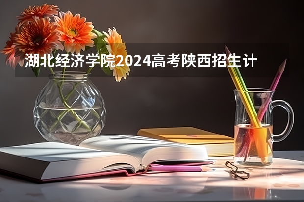 湖北经济学院2024高考陕西招生计划