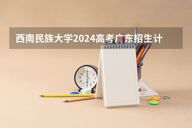 西南民族大学2024高考广东招生计划