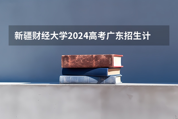 新疆财经大学2024高考广东招生计划