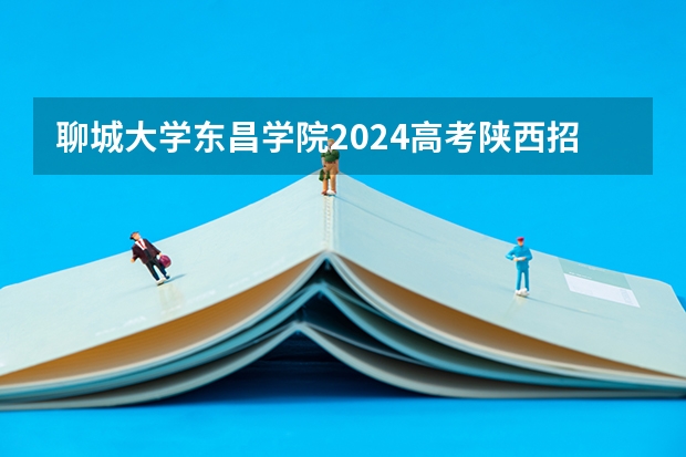 聊城大学东昌学院2024高考陕西招生计划