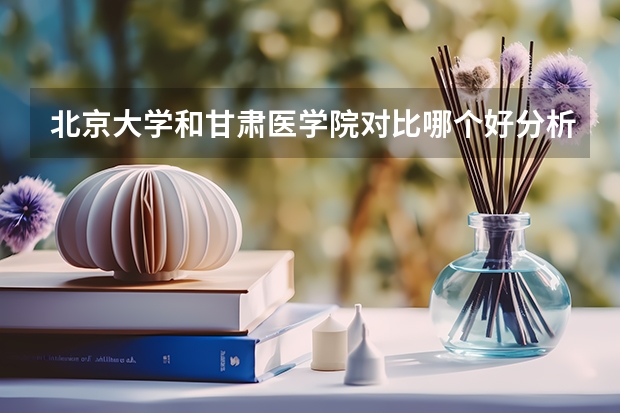北京大学和甘肃医学院对比哪个好分析