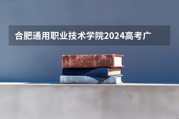合肥通用职业技术学院2024高考广西招生计划
