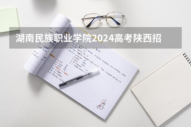 湖南民族职业学院2024高考陕西招生计划