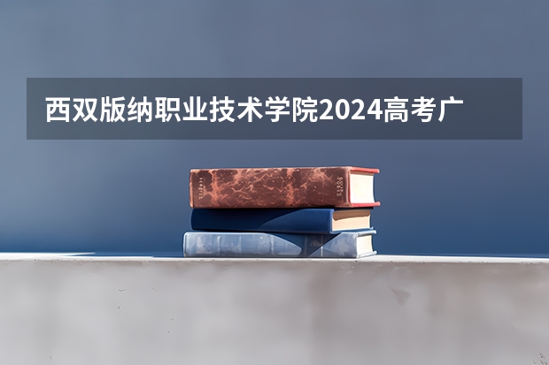 西双版纳职业技术学院2024高考广东招生计划