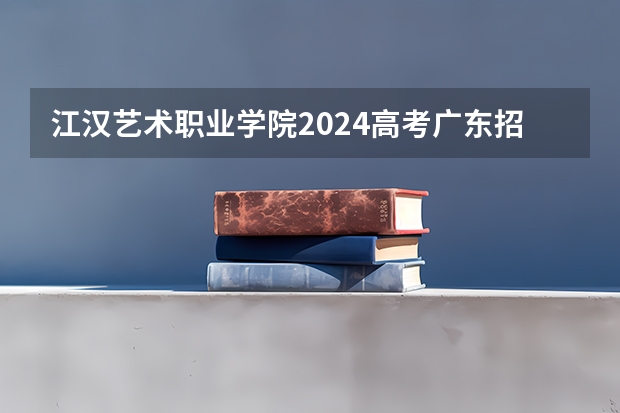 江汉艺术职业学院2024高考广东招生计划