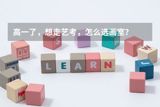 高一了,想走艺考,怎么选画室?