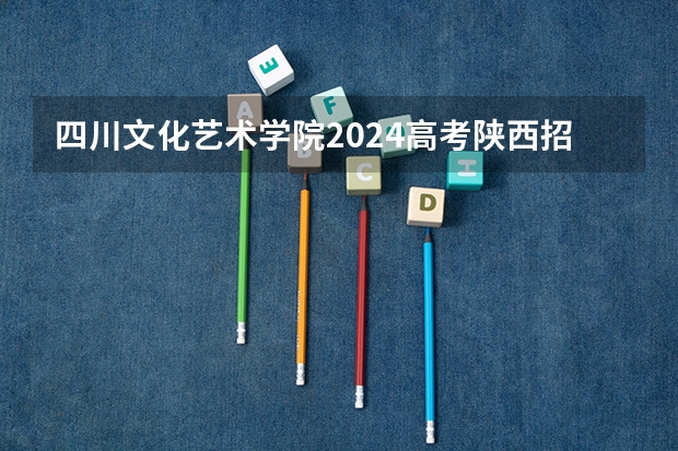 四川文化艺术学院2024高考陕西招生计划