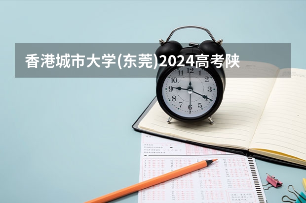 香港城市大学(东莞)2024高考陕西招生计划