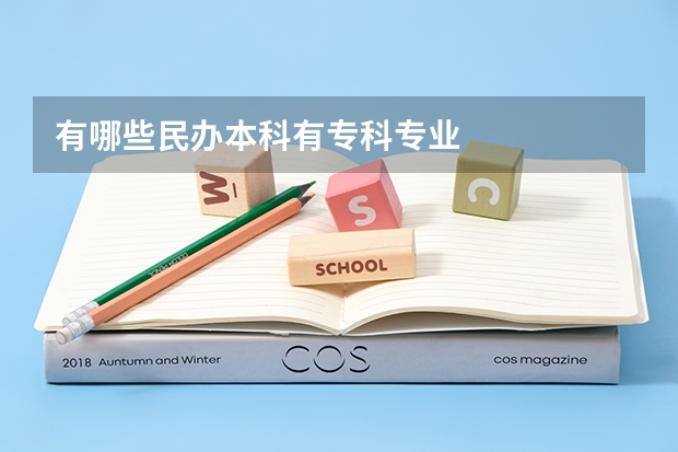 有哪些民办本科有专科专业
