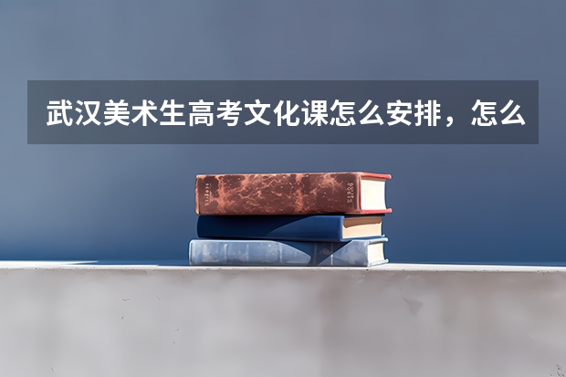 武汉美术生高考文化课怎么安排，怎么复习