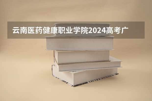 云南医药健康职业学院2024高考广东招生计划