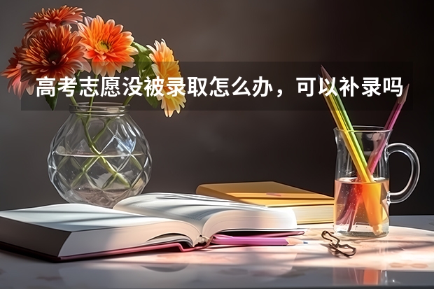 高考志愿没被录取怎么办，可以补录吗？