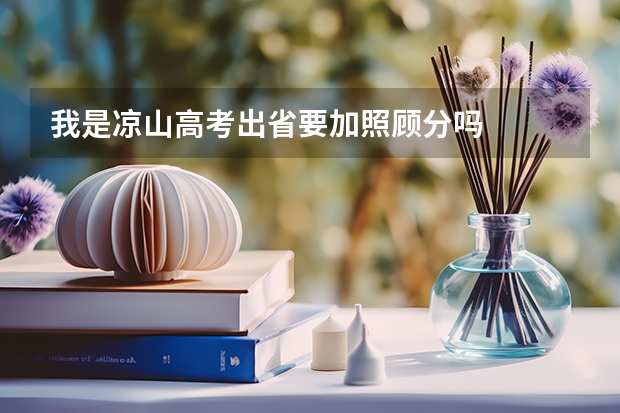 我是凉山高考出省要加照顾分吗
