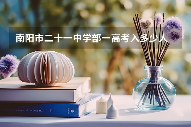 南阳市二十一中学部一高考入多少人