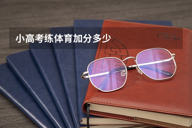 小高考练体育加分多少