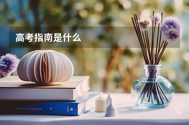 高考指南是什么