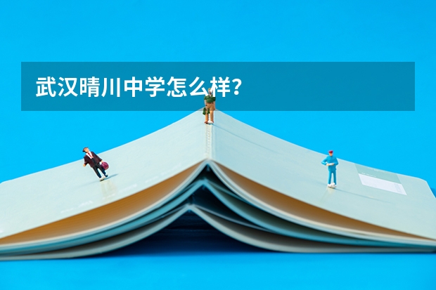 武汉晴川中学怎么样？