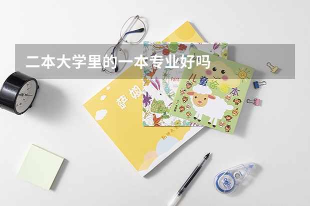 二本大学里的一本专业好吗