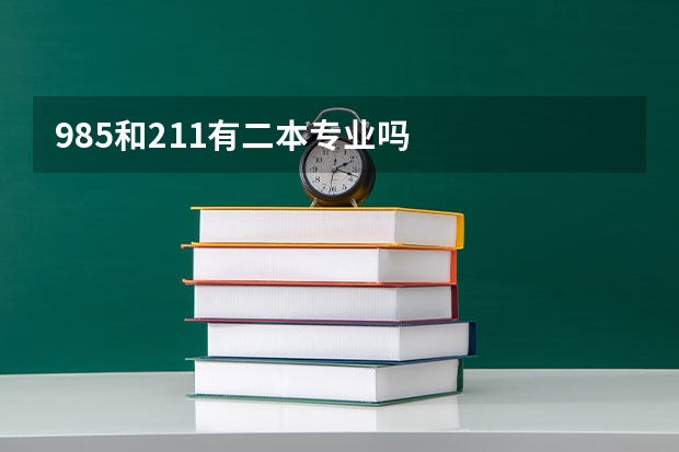985和211有二本专业吗
