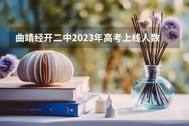 曲靖经开二中2023年高考上线人数是多少
