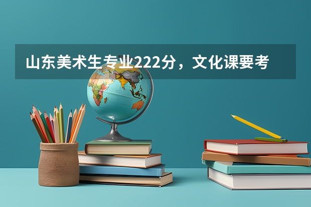 山东美术生专业222分,文化课要考多少分能上二本?