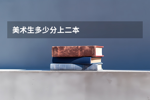 美术生多少分上二本